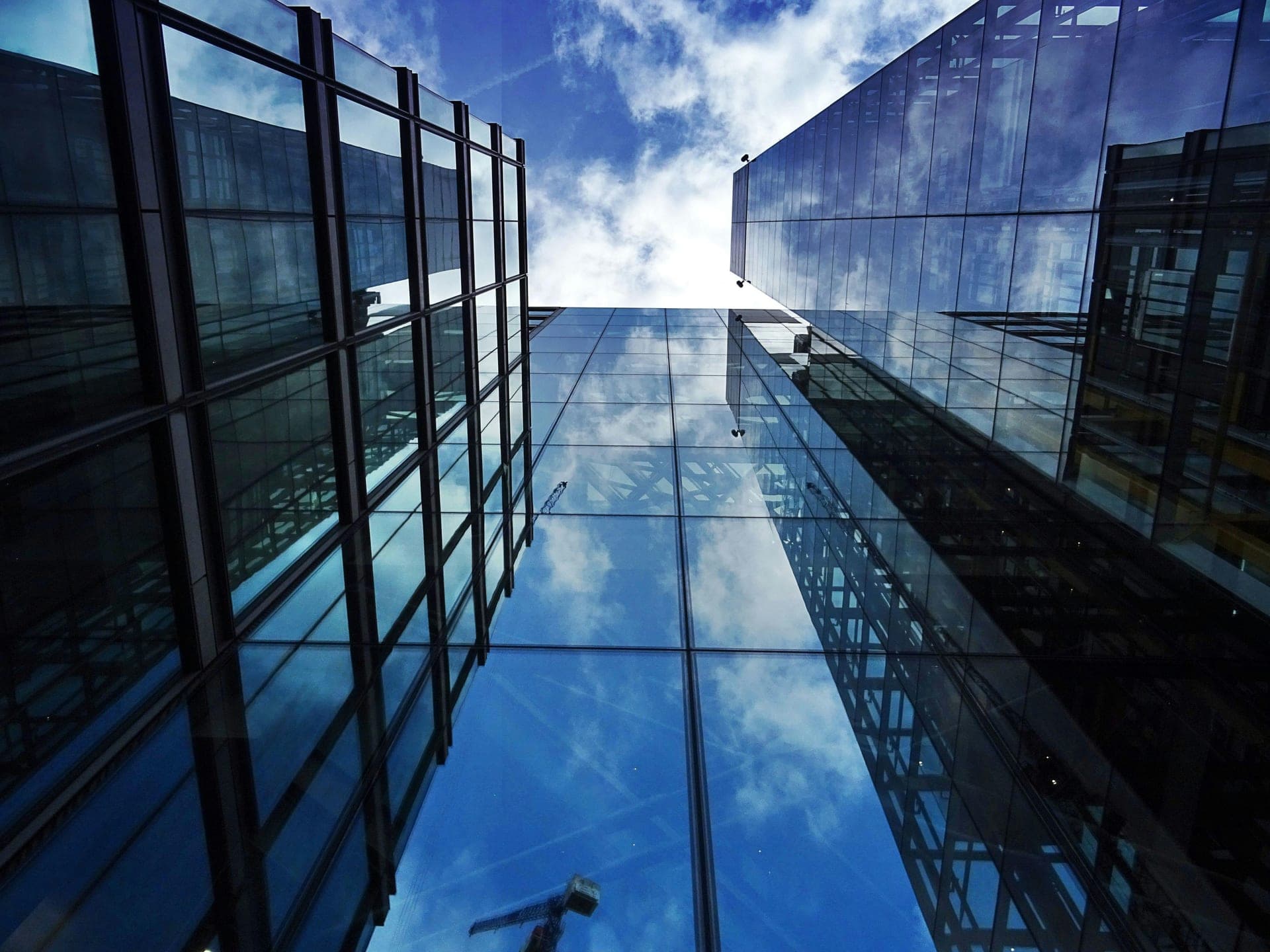 Enterprises Scaling